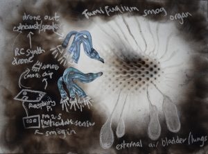 Blueprint for a Smog Organ